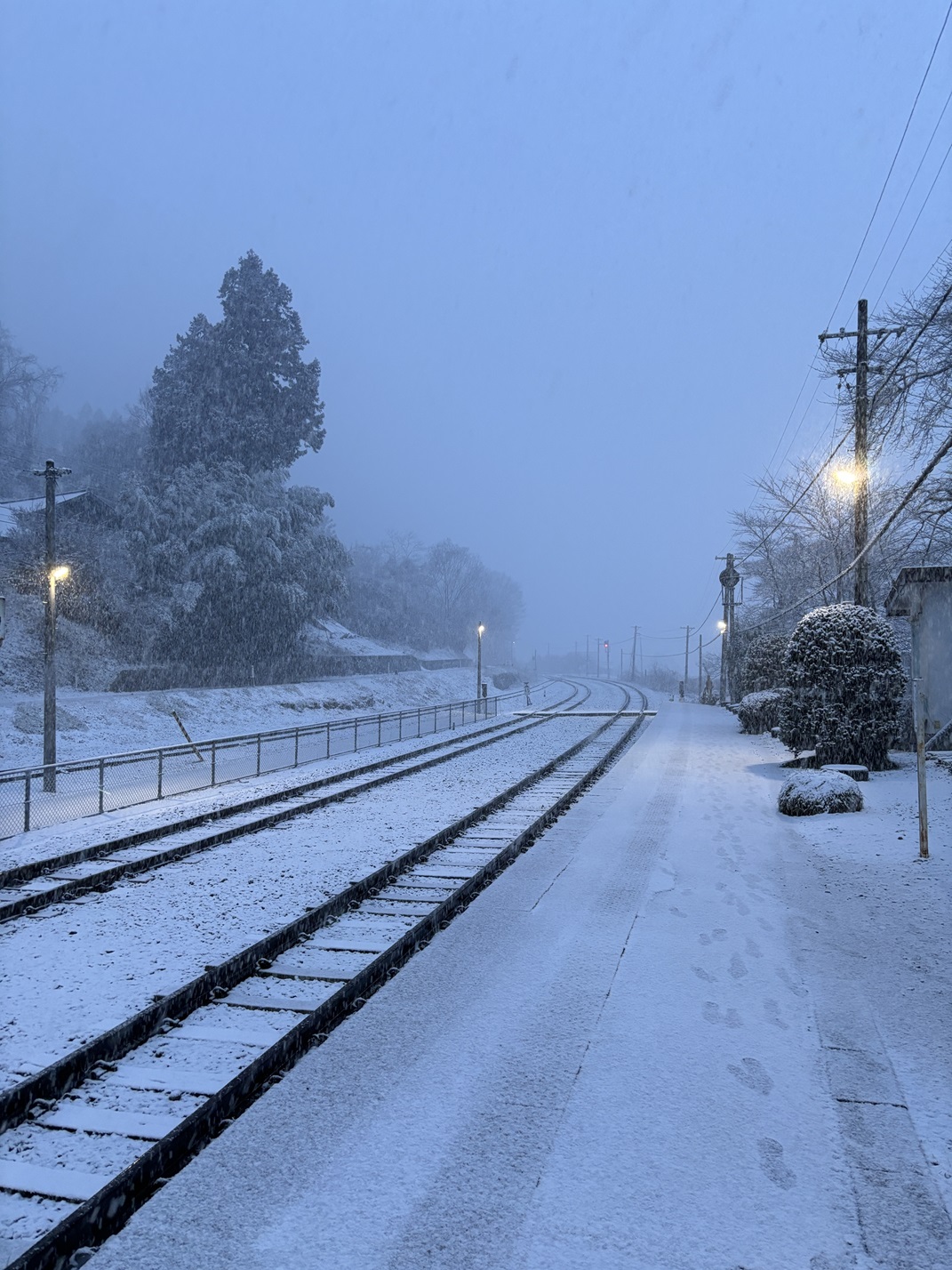 雪景色